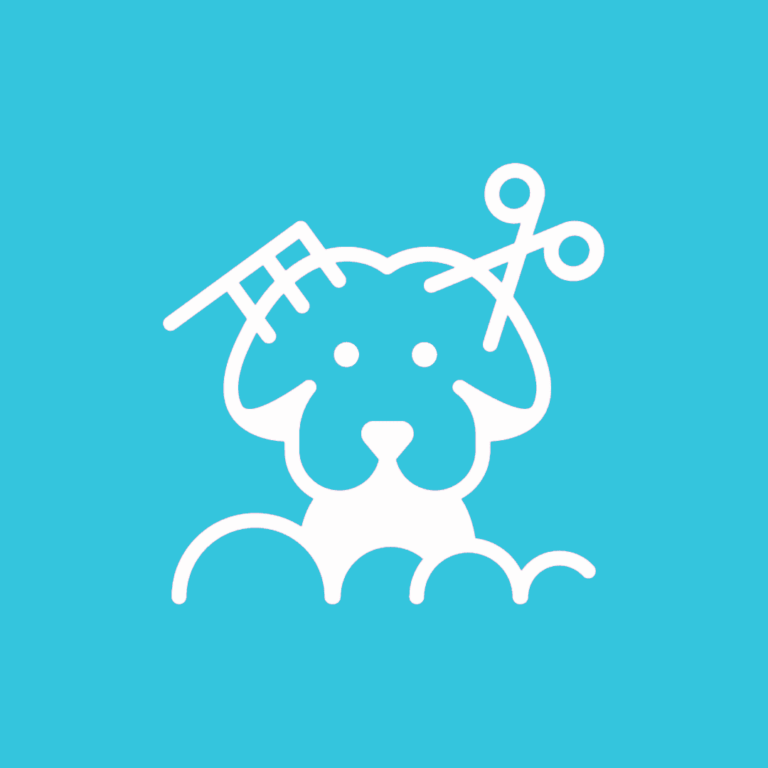 Haircut—Medium