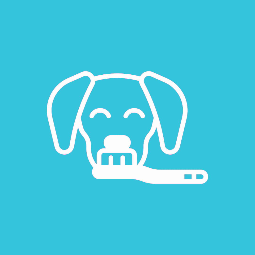 NEW SERVICE Dental—Ultrasonic Teeth Cleaning