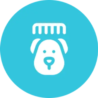 Skilled Grooming Experts