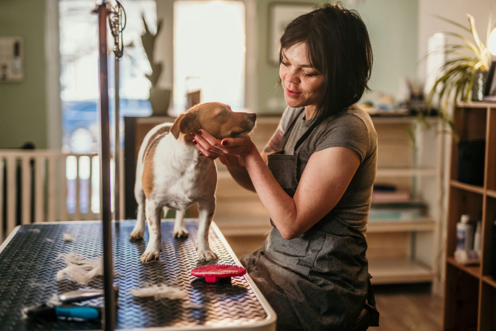 Dog grooming in progress at pet salon